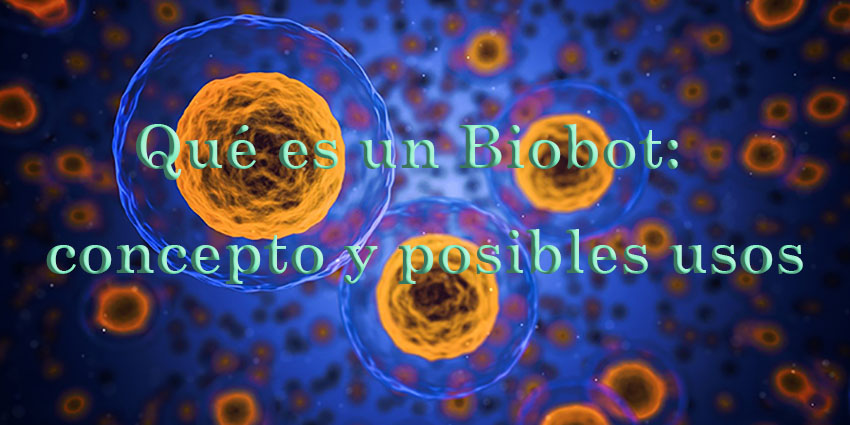 Qué es un biobot: concepto y posibles usos